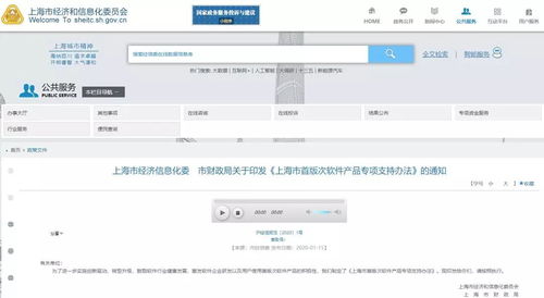 上海市首版次軟件產品專項支持辦法出臺，最高支持200萬元助力軟件及輔助設備發展
